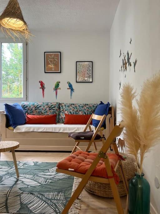 Appartement Balinais Lumineux Et Calme أفينيون المظهر الخارجي الصورة